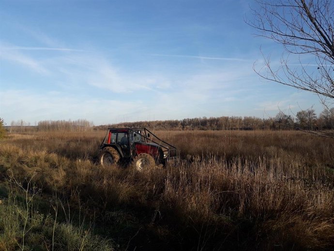 Arranca la restauración fluvial del paraje de La Nava en Alfaro (La Rioja)