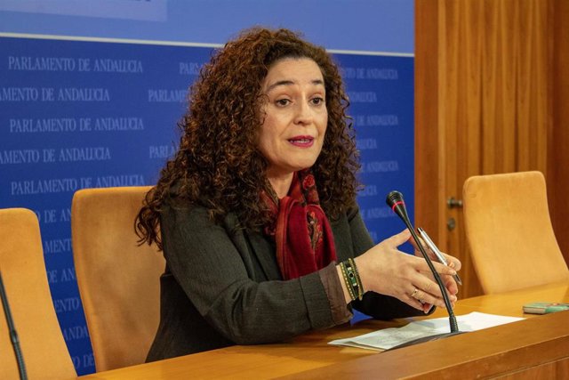 La portavoz parlamentaria de Adelante Andalucía, Inmaculada Nieto, en rueda de prensa