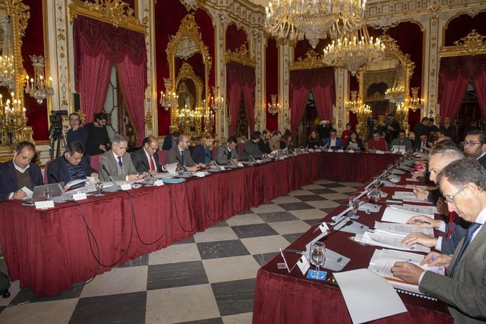 Pleno de la Diputación de Cádiz