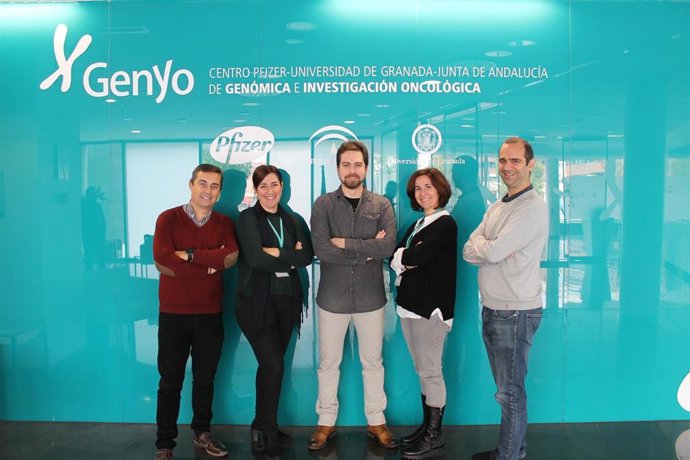 Científicos patentan una nueva terapia para combatir el cáncer de mama basada en nanopartículas inteligentes