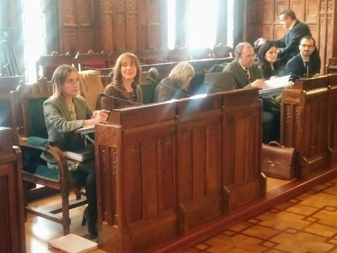 Ana Cárcaba en su comparecencia en la COmisión de Hacienda.