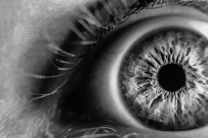 Descubren que las neuronas visuales no funcionan como pensaban los científicos