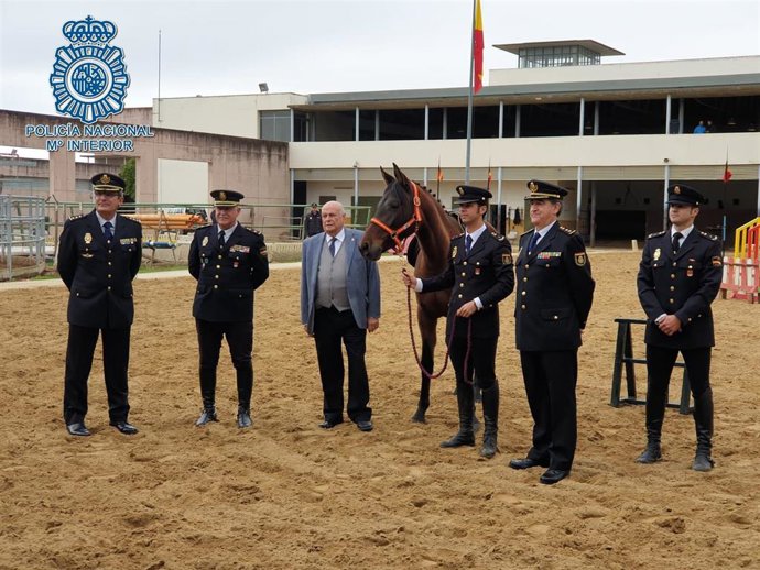 La Policía de Caballería recibe un potro hispanoárabe en donación.