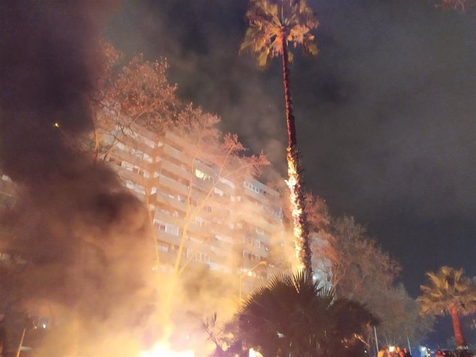 Una palmera arde en el entorno del Camp Nou durante la protesta de Tsunami Democrtic en el Clásico del FC Barcelona y el Real Madrid este miércoles 18 de diciembre de 2019