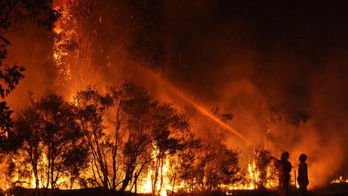 Australia.- Nueva Gales del Sur declara el estado de emergencia ante los incendi