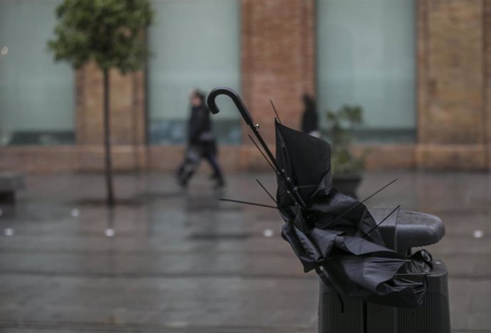 Paragüas roto en una papelera a causa del viento