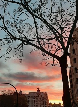 Nubes altas en València, que dejan amaneceres espectaculares y suelen ser inicio de la llegada de un frente, según Aemet