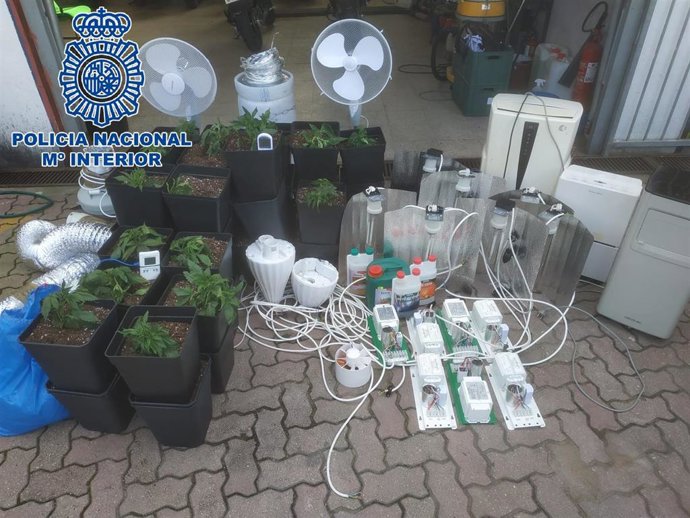 Nota De Prensa: Desmantelada En La Línea Una Plantación Indoor Con 80 Plantas De Cannabis Sativa