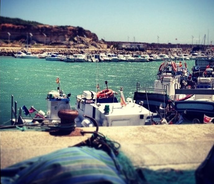 Puerto pesquero de Conil