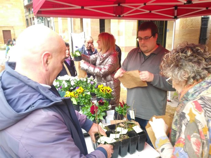 Concejales socialistas de Oviedo reparten plantas en la Plaza del Ayuntamiento.