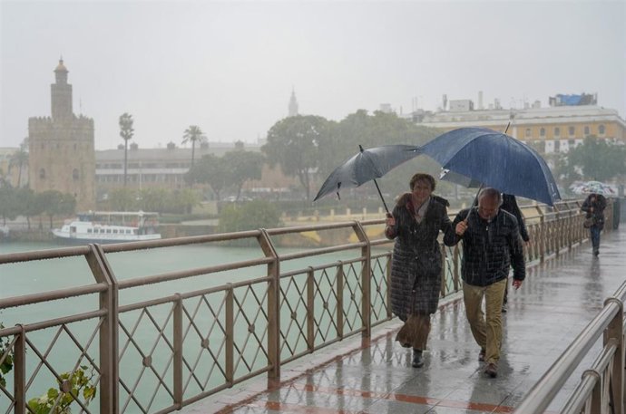 Peatones bajo la lluvia  por el Puente de los Remedios  en Sevilla a 22 de noviembre del 2019