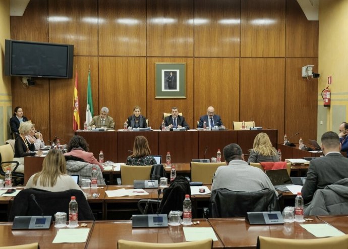 Comisión de Empleo, Formación y Trabajo Autónomo, con la comparecencia de la consejera, Rocío Blanco. (Foto de archivo).