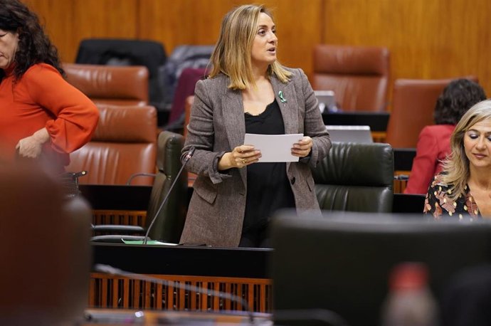 La consejera de Fomento en el Parlamento andaluz