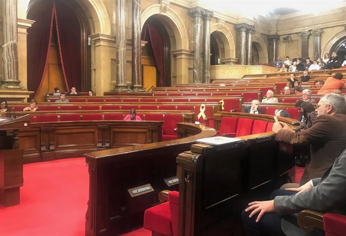 Ple del Parlament 19 de desembre del 2019