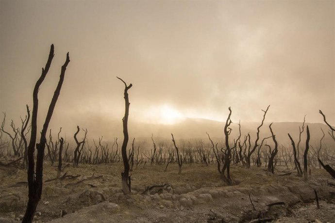 Cambio climático
