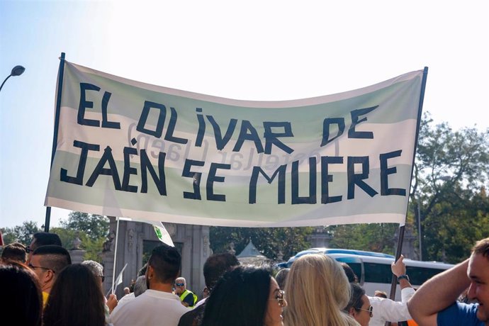 Pancarta con el lema 'El olivar de Jaén se muere' durante la manifestación convocada por COAG, UPA, Asaja y Cooperativas Agro-Alimentarias en defensa del olivar tradicional 