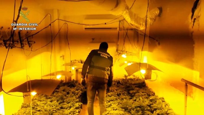 Guardia Civil detiene en Archena a cinco personas por tenencia ilícita de armas y tráfico de drogas