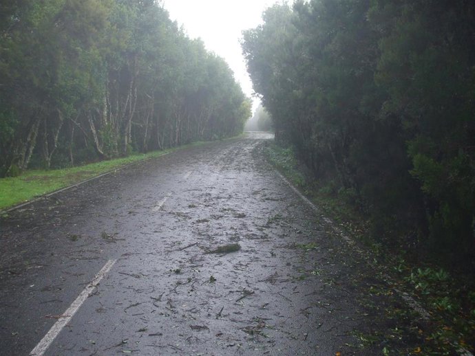 Efectos de un temporal de viento en la isla de La Gomera