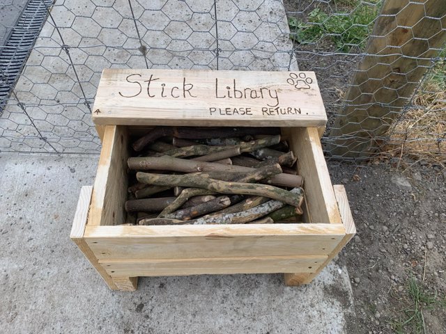 CATERS_STICK_LIBRARY_001