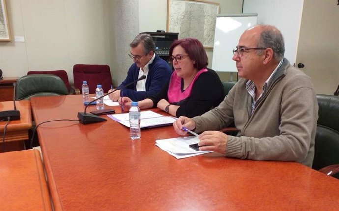 Begoña García (en el centro) en la Mesa de la Tuberculosis en Extremadura