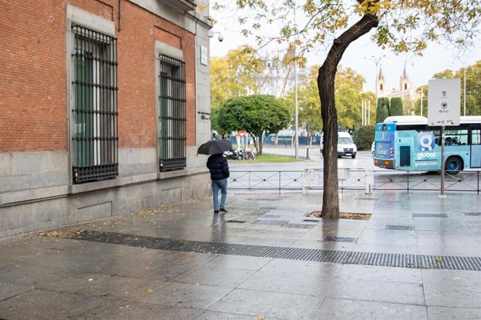 Una persona pasea por la calle con un paraguas debido a la lluvia durante el peor temporal del otoño del 2019 en España en el que se verán afectadas 37 provincias avisadas por viento, nieve, oleaje o lluvia, en Madrid (España),  a 14 de noviembre de 201