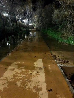 Consecuencias del temporal en los parques de Guadalajara.