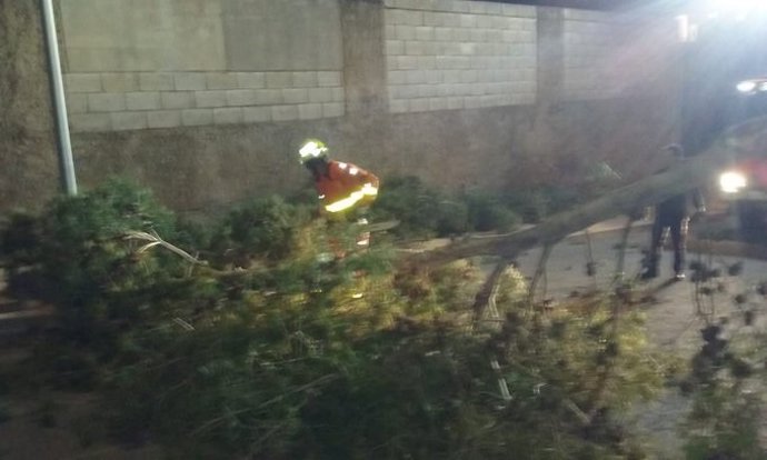 Los bomberos trabajan en la retirada de un árbol