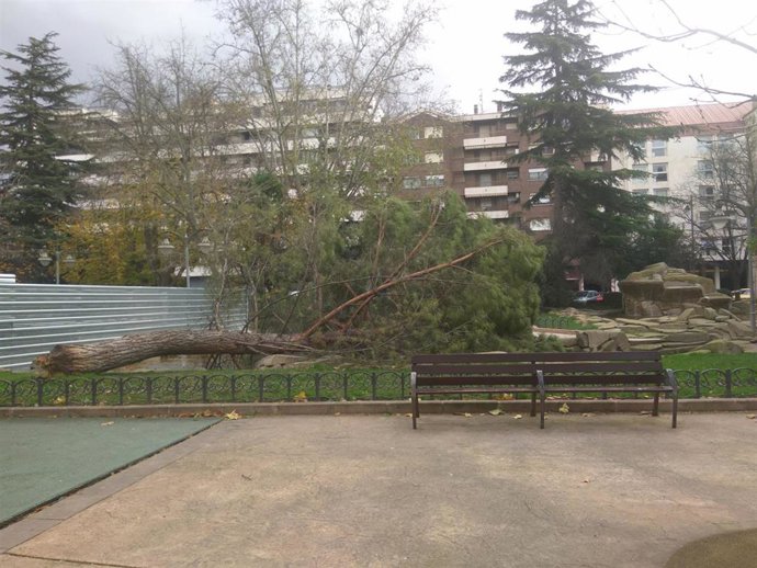 Mucha precaución con los fuertes vientos en Logroño