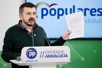 El PP-A lanza una "ofensiva institucional" contra la "pedrada" de Sánchez a la autonomía de Andalucía