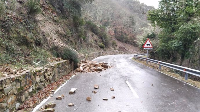 El Gobierno riojano retira árboles y  animales muertos para facilitar el tránsito por las carreteras debido al fuerte viento