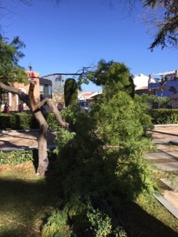 Arbol caído en Jaén.