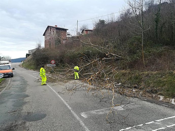 Retirada árboles caídos en Matute (La Rioja)
