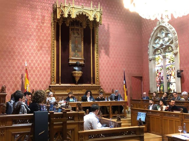 Pleno del Consell de Mallorca.