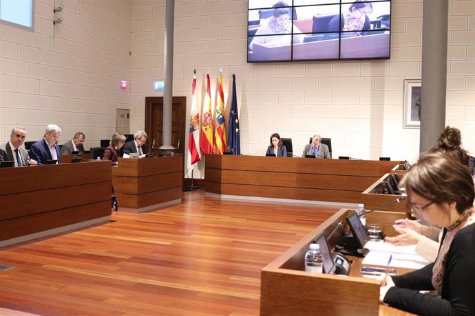 Pleno de la Diputación de Zaragoza.