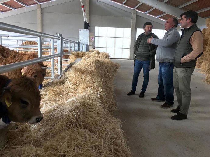 El consejero de Desarrollo Rural, Agroganadería y Pesca, Alejandro Calvo, visita el nuevo centro de testaje de la Asociación Criadores Raza Asturiana de Montaña (ASEAMO).