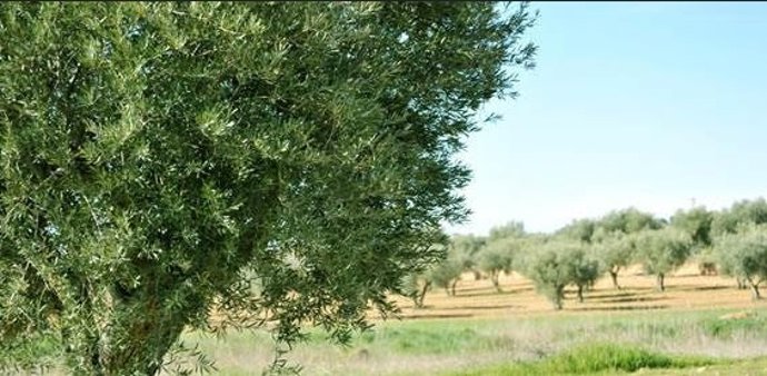 Un estudio del CSIC pide políticas que logren limitar la entrada de patógenos en