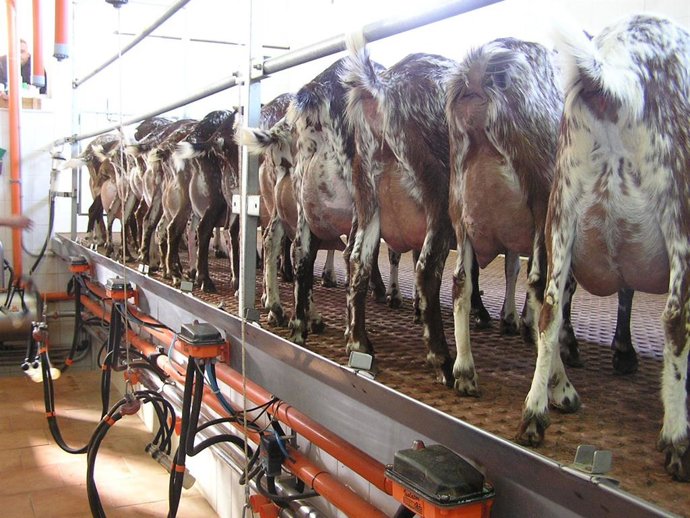 COAG-A denuncia que la industria amenaza con malas prácticas la estabilidad de p