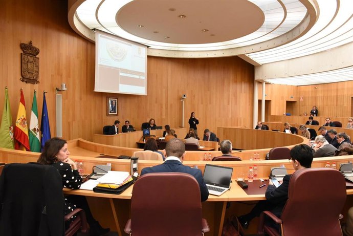 Imagen del pleno de la Diputación celebrado este lunes