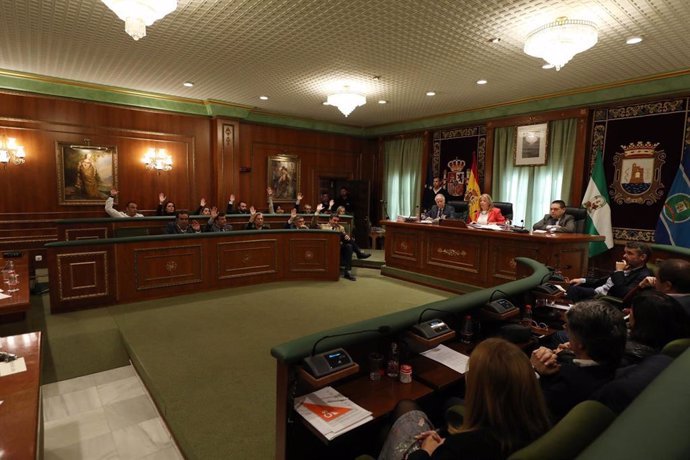Pleno Ayuntamiento de Marbella diciembre 2019