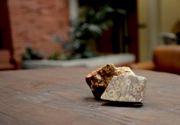 Roca empleada en el estudio