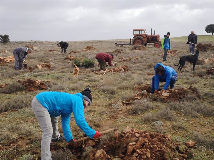 Almendros (Cuenca) planta 750 árboles "como pequeña contribución" a la lucha con