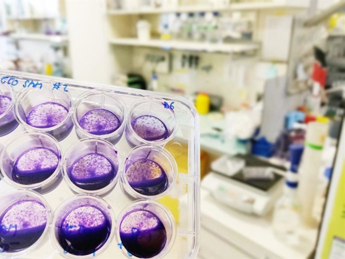 Centro de investigación en biomedicina 