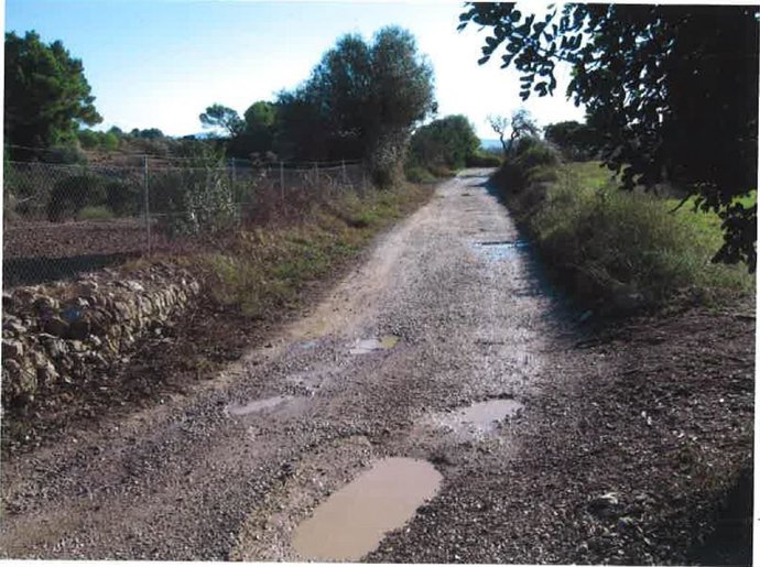 Conducción Maria - Petra.