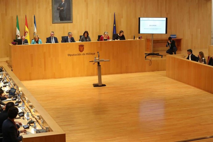 Pleno de la Diputación de Málaga del mes de noviembre de 2019