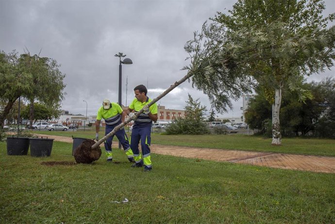Trabajos de jardinería.