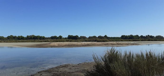 Valencia.- AE-Agró exige la convocatoria de la Comisión del Agua de la Junta Rec