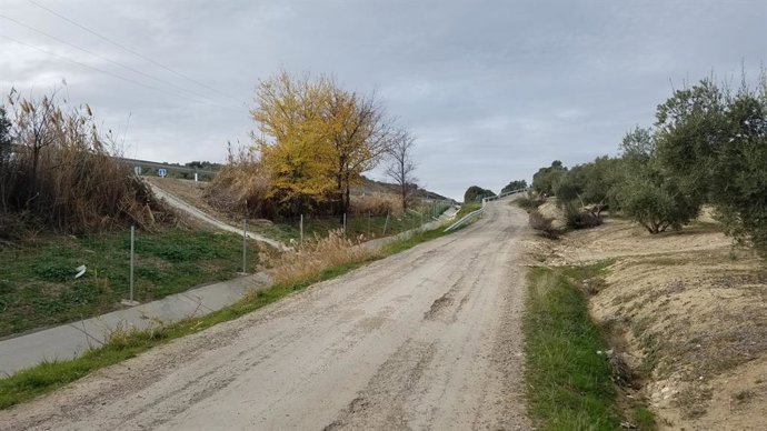 Jaén.- Agricultores de Úbeda y pueblos vecinos se quejan de falta de accesos a l