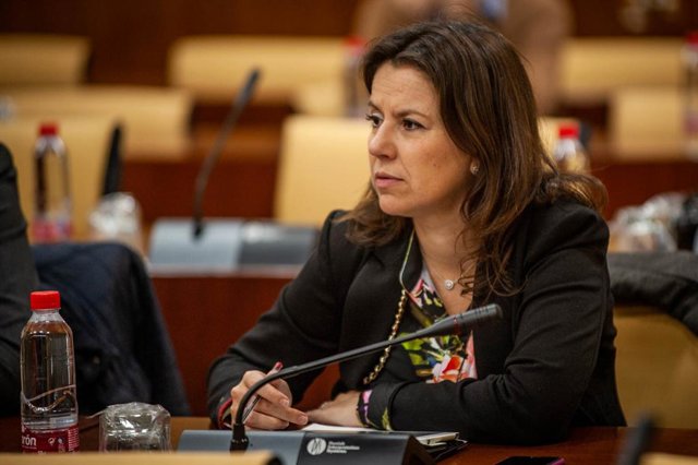 La portavoz del Grupo Parlamentario Popular en la comisión de investigación de la Faffe, Ana Vanessa García