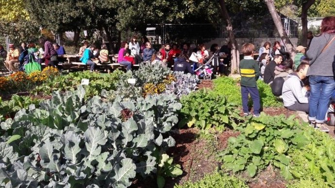 Imagen de recurso de un huerto urbano en la ciudad de Madrid.