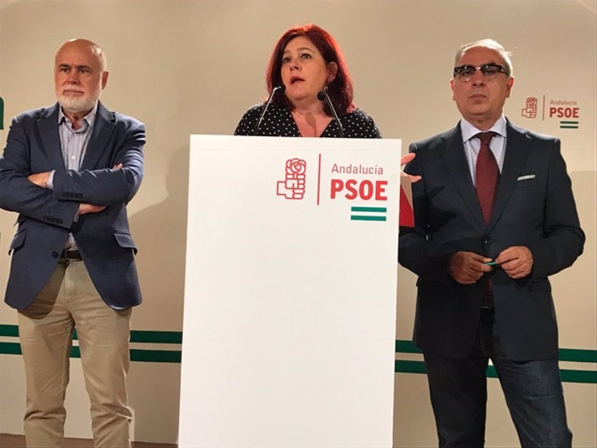 El PSOE de Granada pide al Ministerio de Fomento que la línea marítima ...